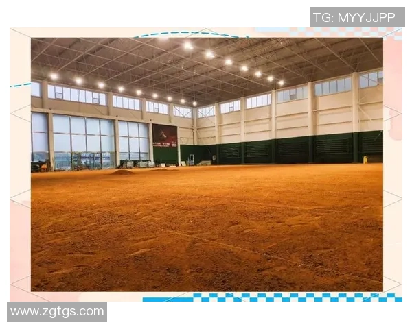 从草地到红土网球场地变迁中的技术革新与战术演变