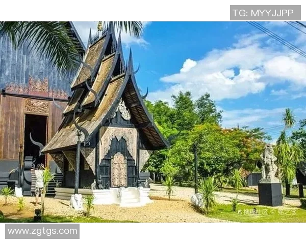 跳水运动的力量与美感探秘从惊险一跃到水花消失的极致艺术